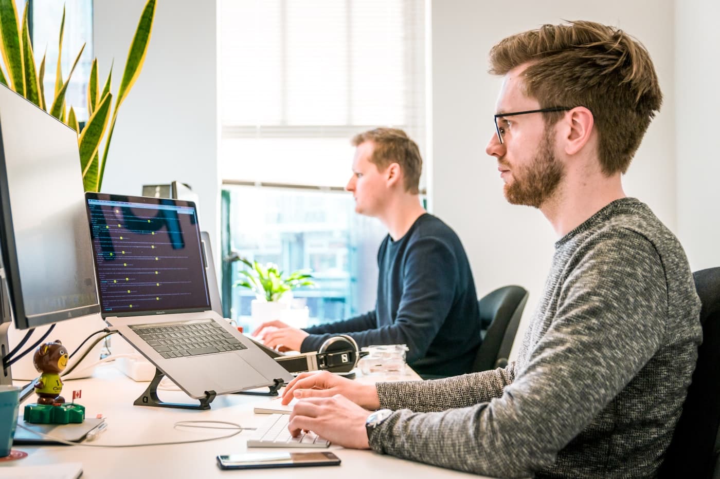 SaaS / Software solutions